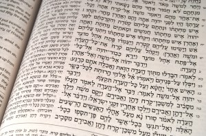 Hebrew Text 2